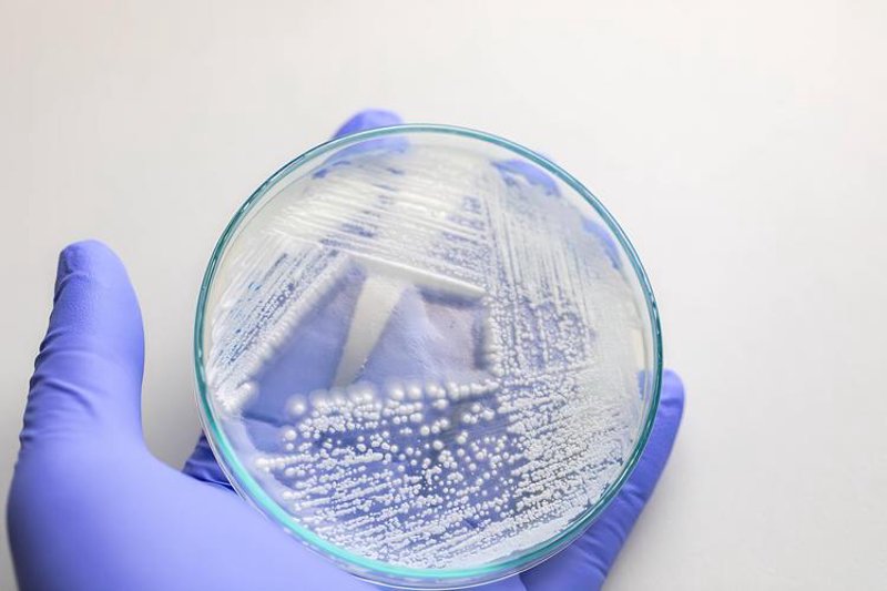 生物试剂耗材